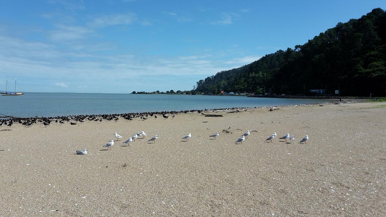 Kuranui Cottage Thames Luaran gambar